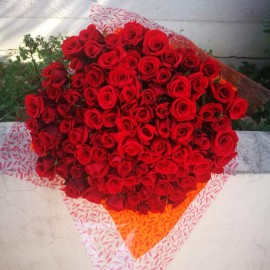 101 ruža buket crvena