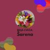 Boja - šarena